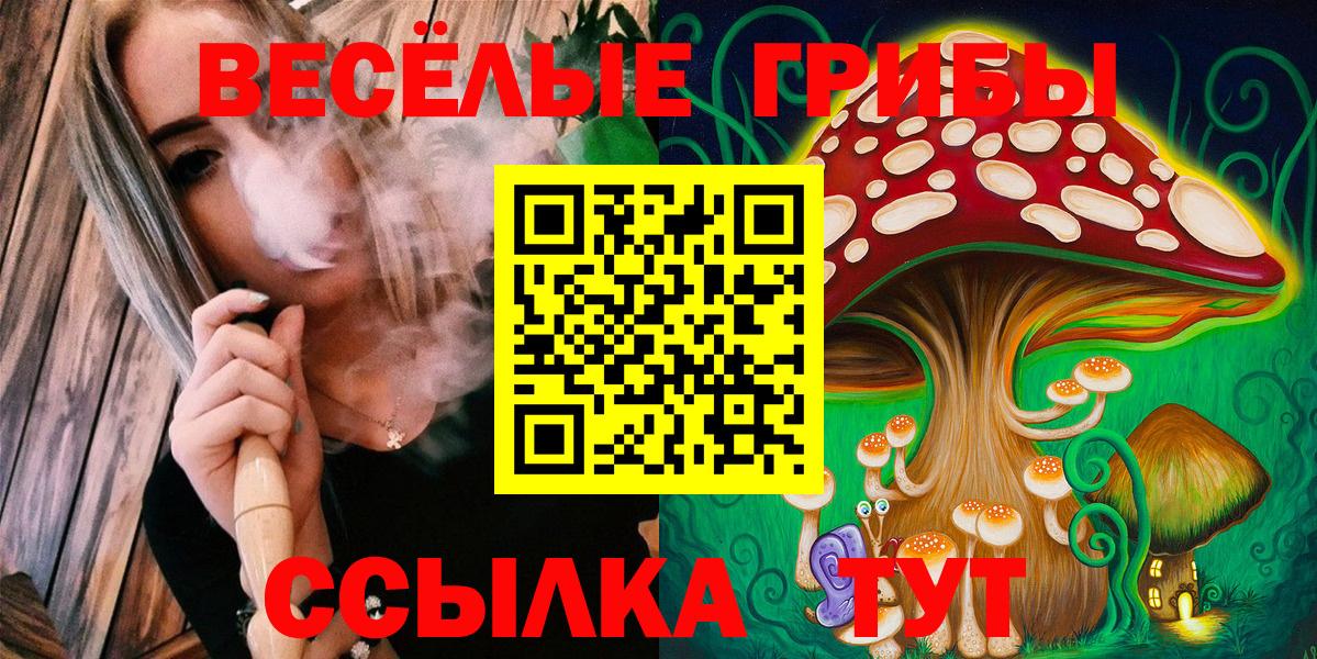 купить наркоту  Вход с VPN  Сафоново  Галлюциногенные грибы Psilocybine cubensis  Галлюциногенные грибы Psilocybine cubensis 